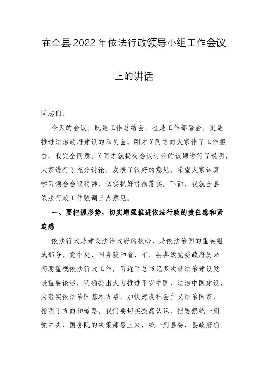 在全县2022年依法行政领导小组工作会议上的讲话.docx,第1页预览