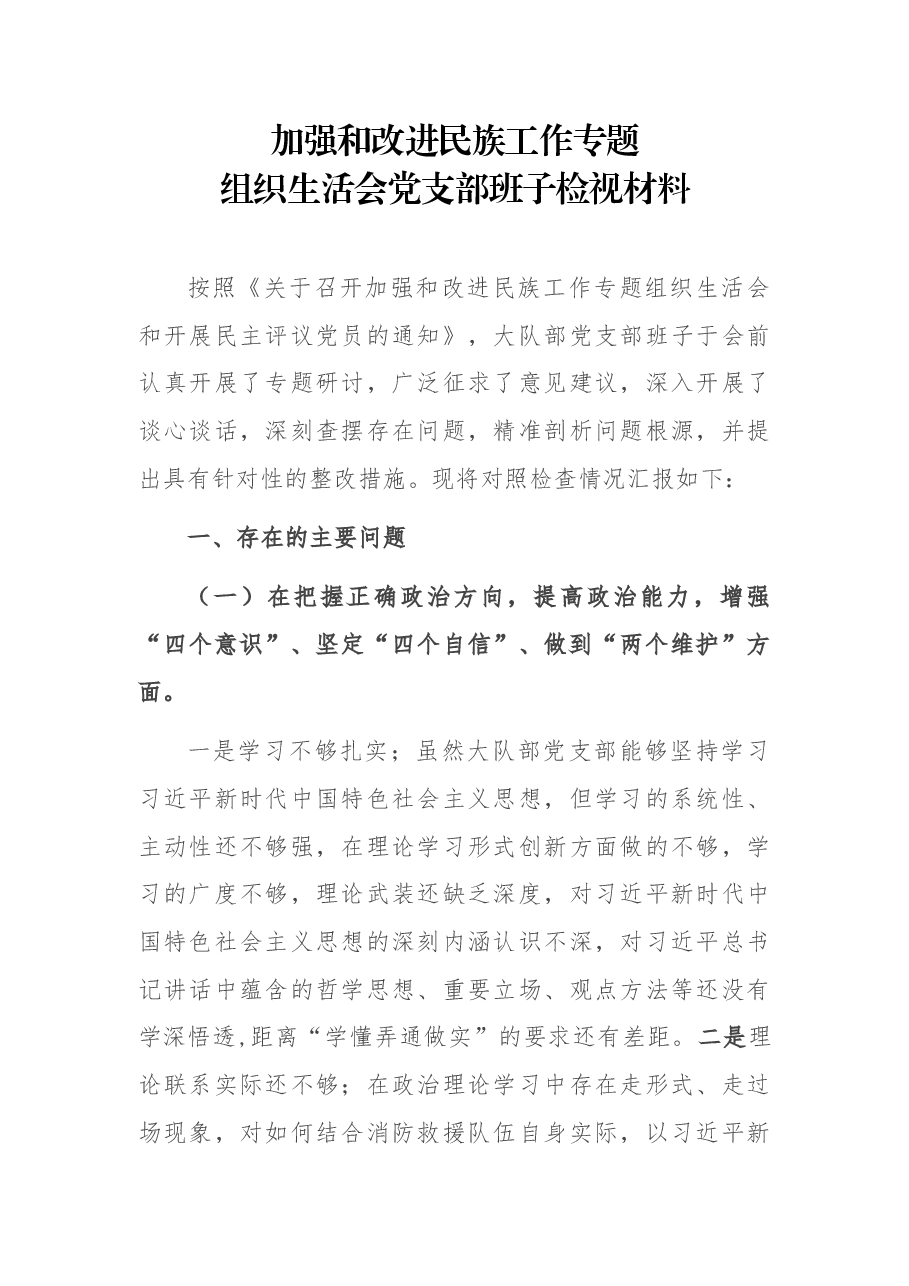加强和改进民族工作专题组织生活会党支部班子检视材料.docx,第1页预览