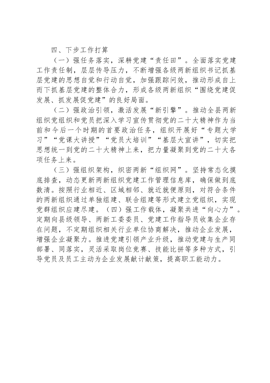 2022年两新组织工委书记抓基层党建工作述职报告.docx，第3页预览