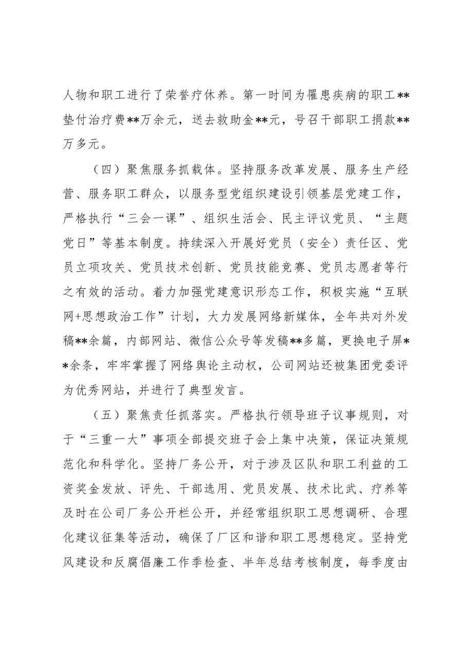 公司党委述职述廉报告.docx,第3页预览