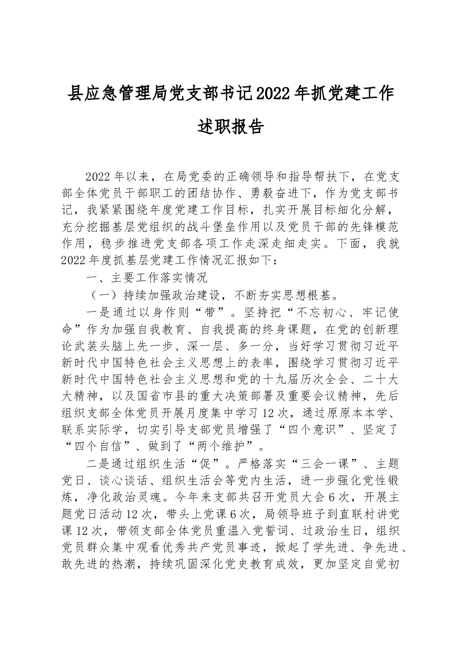 县应急管理局党支部书记2022年抓党建工作述职报告.docx,第1页预览
