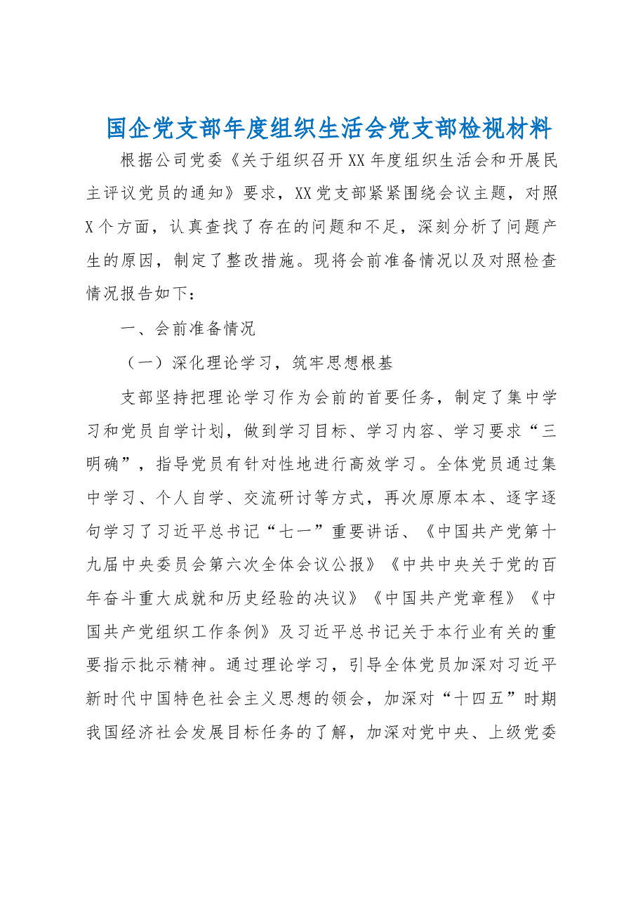 国企党支部年度组织生活会党支部检视材料.docx，第1页预览