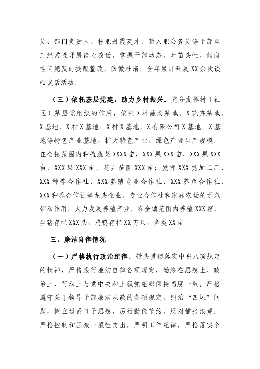 镇党委副书记、镇长述责述廉报告.docx,第3页预览