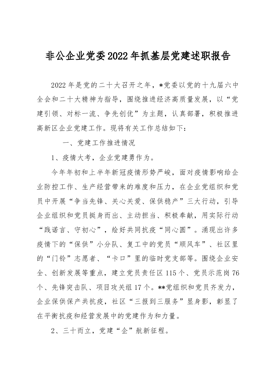 非公企业党委2022年抓基层党建述职报告.docx,第1页预览