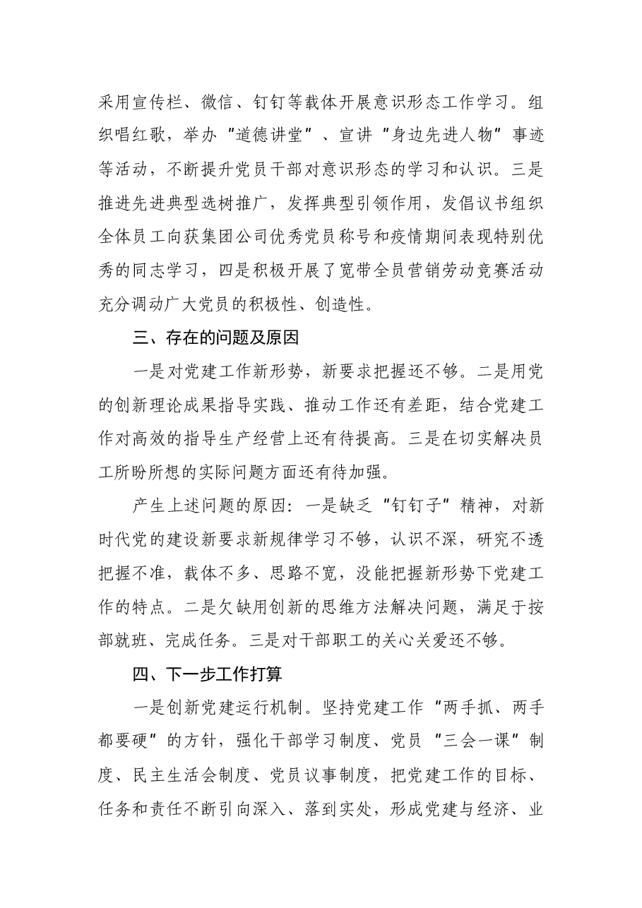 分公司党委书记抓基层党建工作述职总结.docx,第3页预览