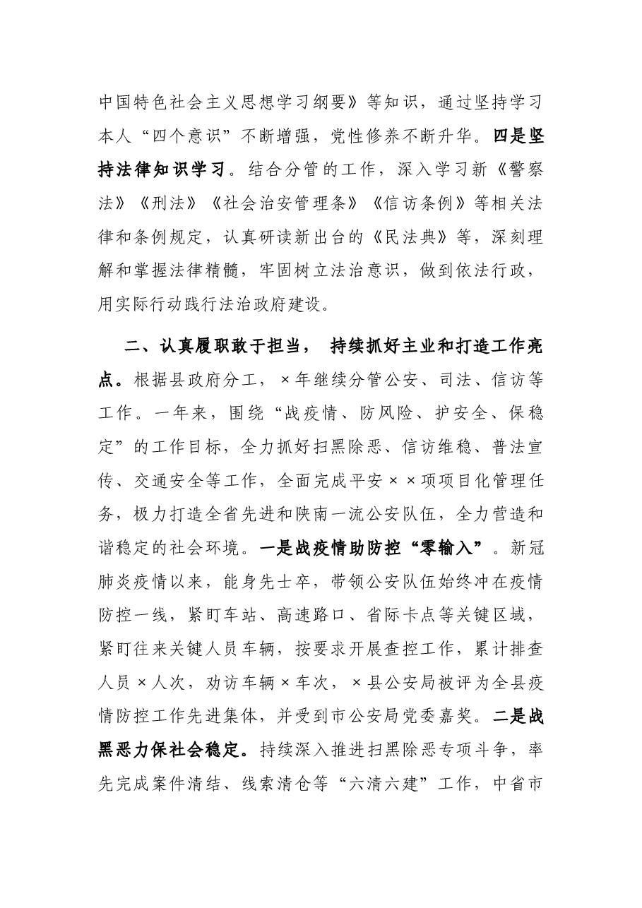 县政府副县长、公安局长述职述廉述效报告.docx,第2页预览