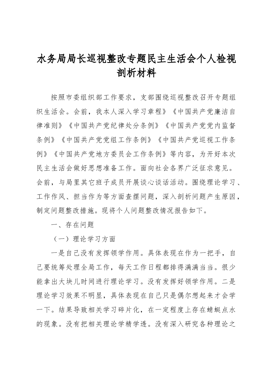 水务局局长巡视整改专题民主生活会个人检视剖析材料.docx,第1页预览