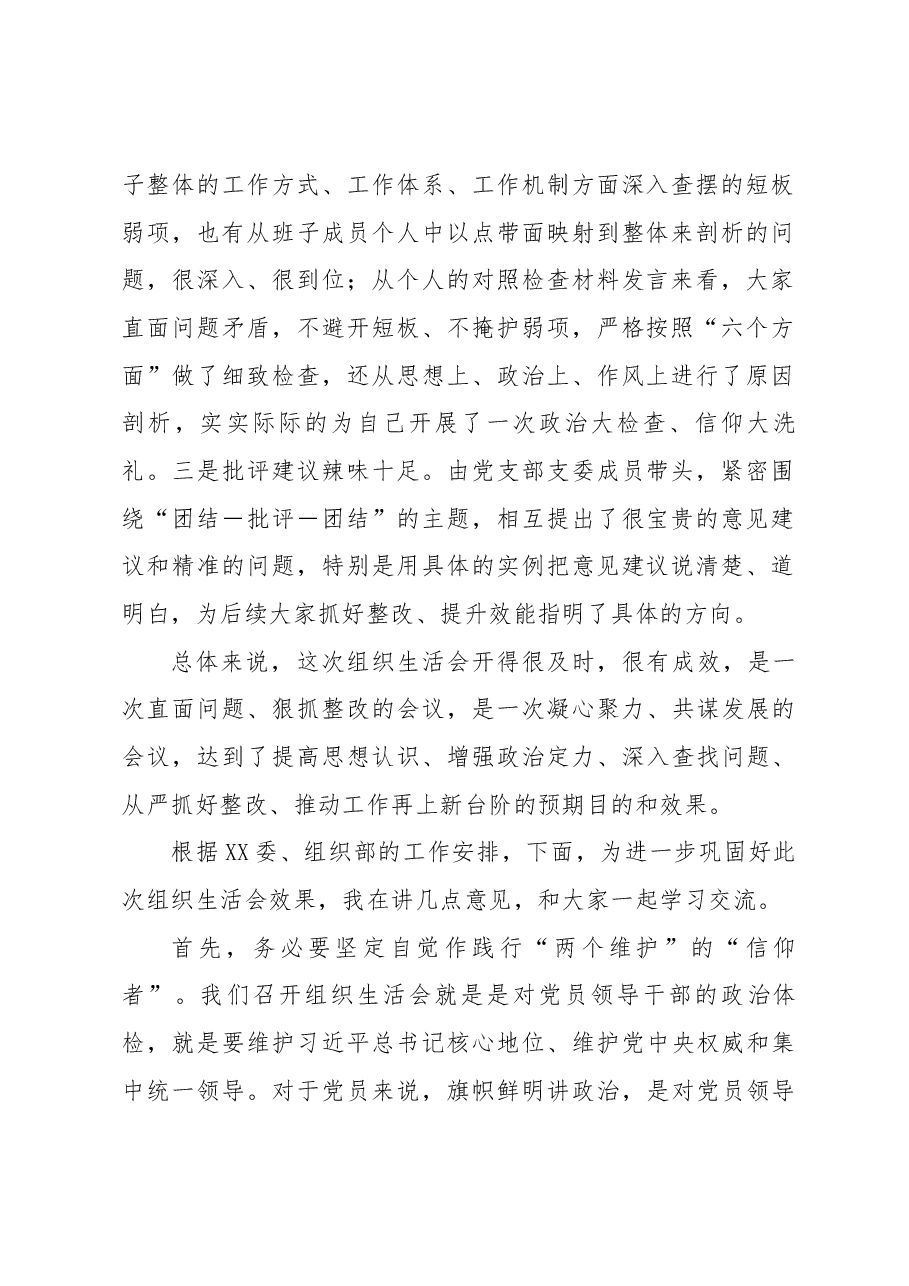 领导干部在XXX党支部年度组织生活会上的点评总结讲话.docx,第2页预览