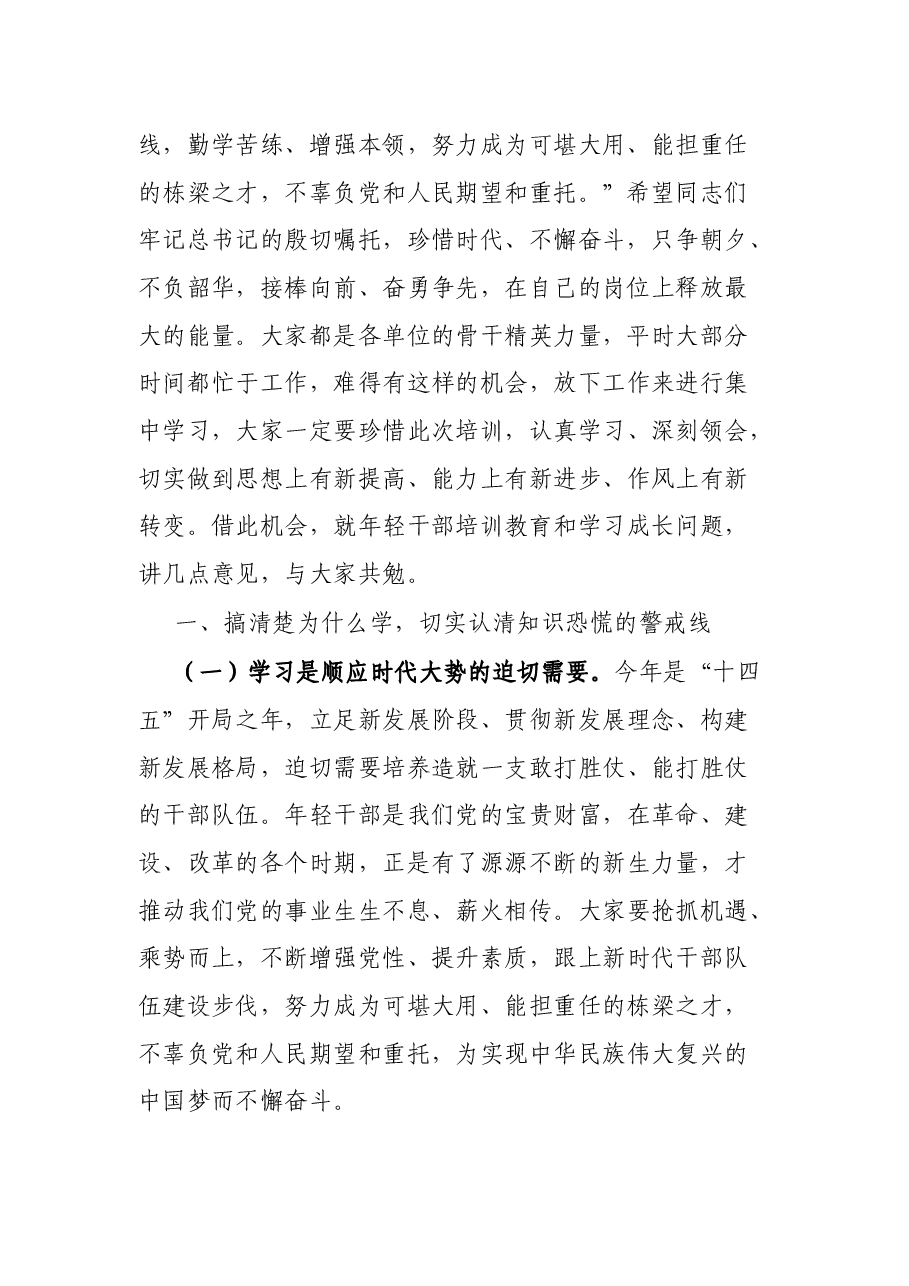 组织部长在2021年优秀青年干部培训班上的讲话.docx,第2页预览