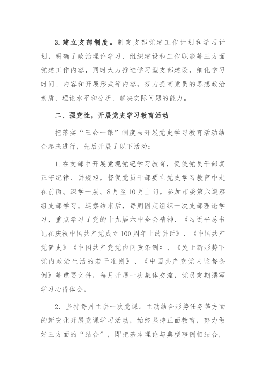 新成立党支部书记述职报告.docx,第2页预览