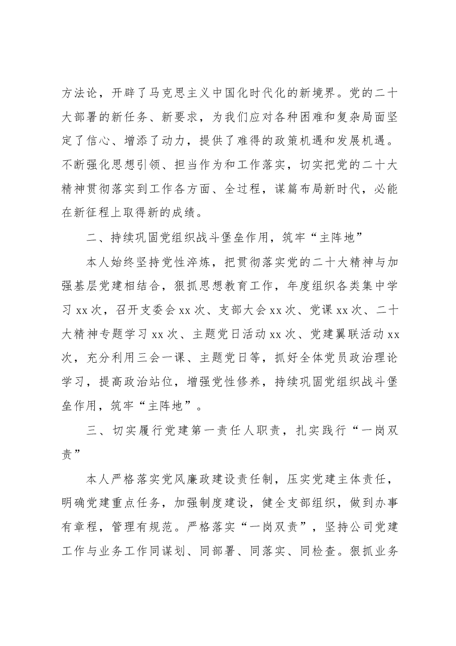 分公司党支部书记、副总经理2022年述职报告.docx,第2页预览