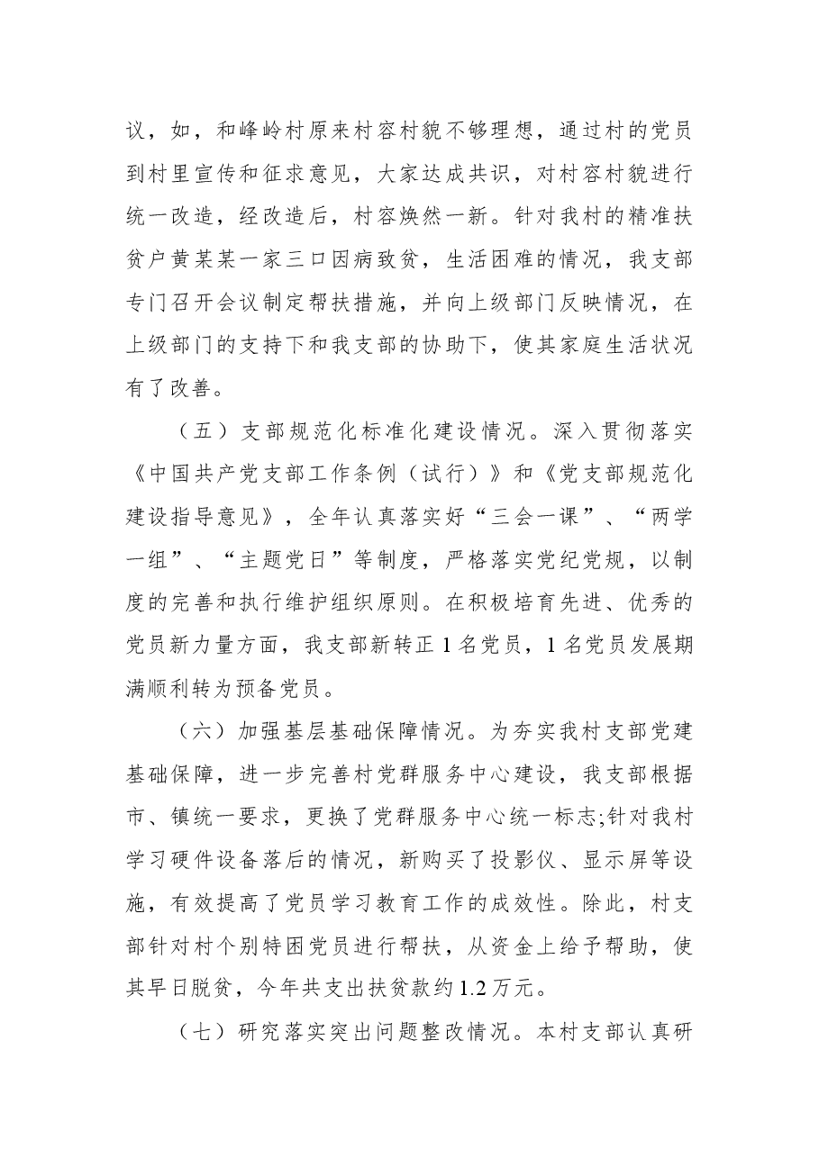 村党支部书记个人总结、述职报告7篇.docx,第4页预览