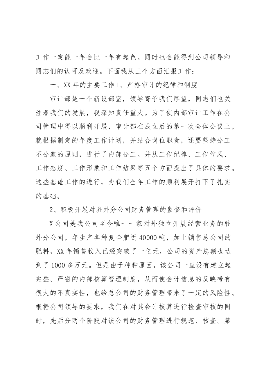 公司内部审计述职报告.docx,第2页预览