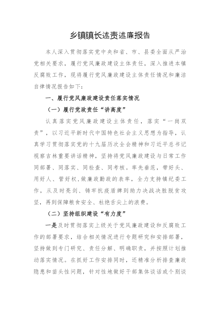 乡镇镇长述责述廉报告.docx，第1页预览