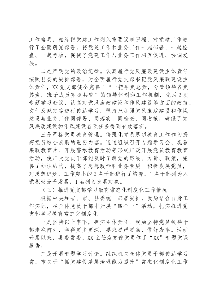 党支部书记党建工作专项述职报告.docx,第2页预览