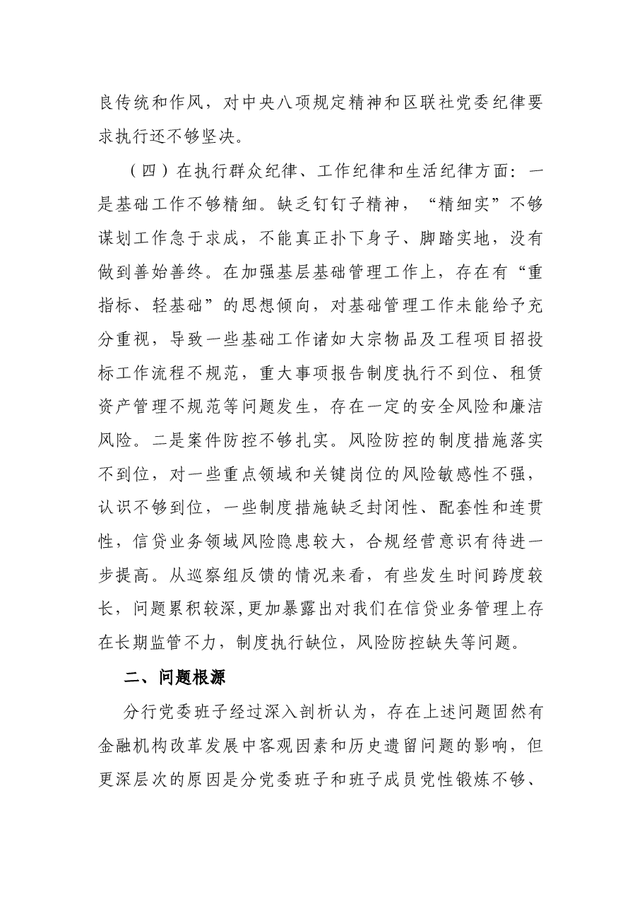 银行党委班子巡察整改专题民主生活会对照检查发言提纲.docx,第4页预览