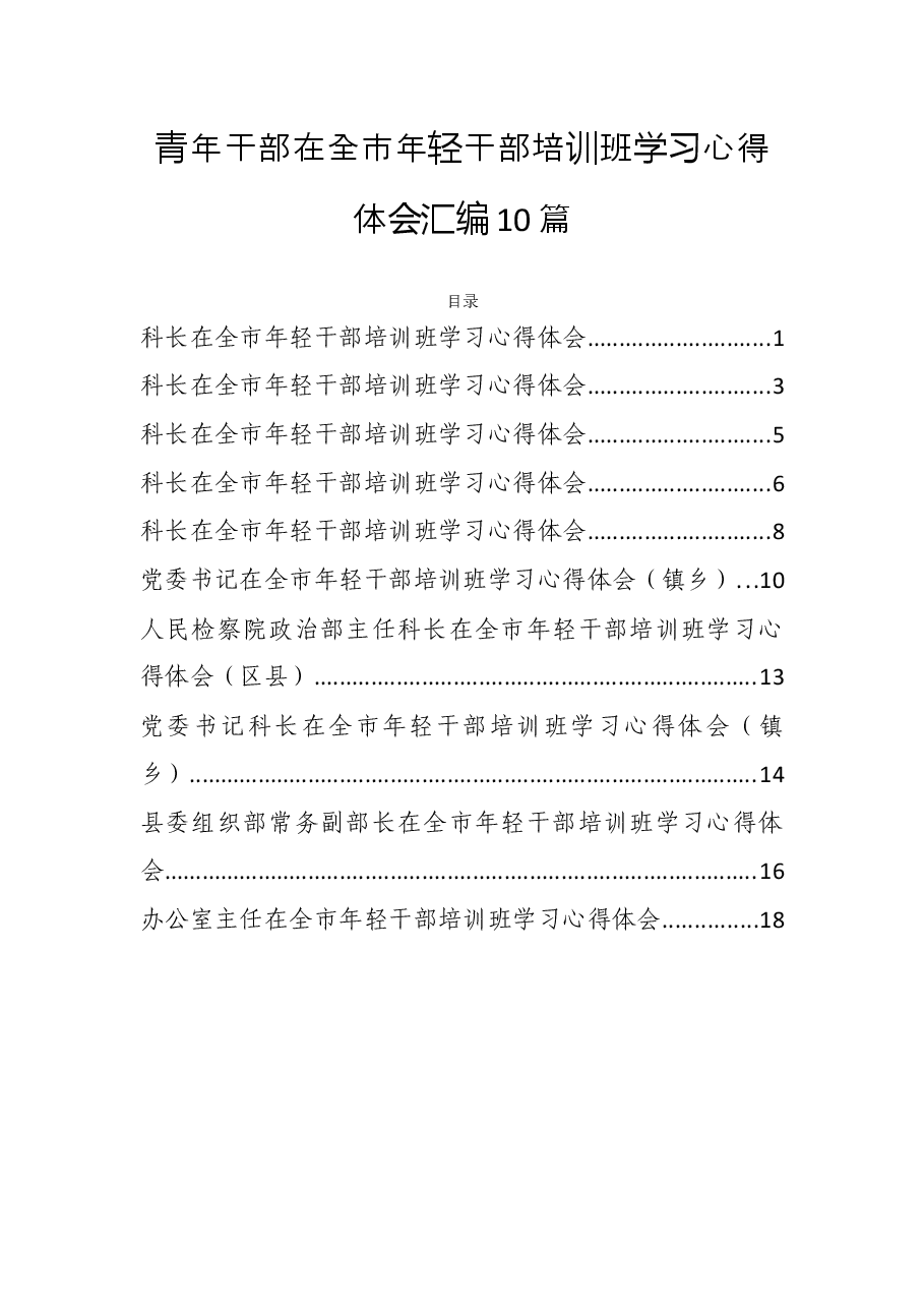 (10篇)青年干部在全市年轻干部培训班学习心得体会汇编.docx,第1页预览