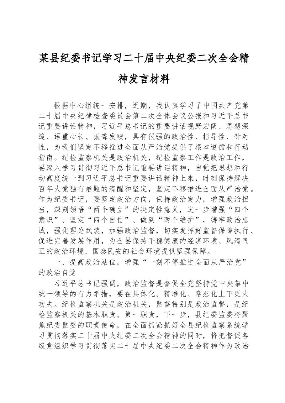 某县纪委书记学习二十届中央纪委二次全会精神发言材料.docx,第1页预览