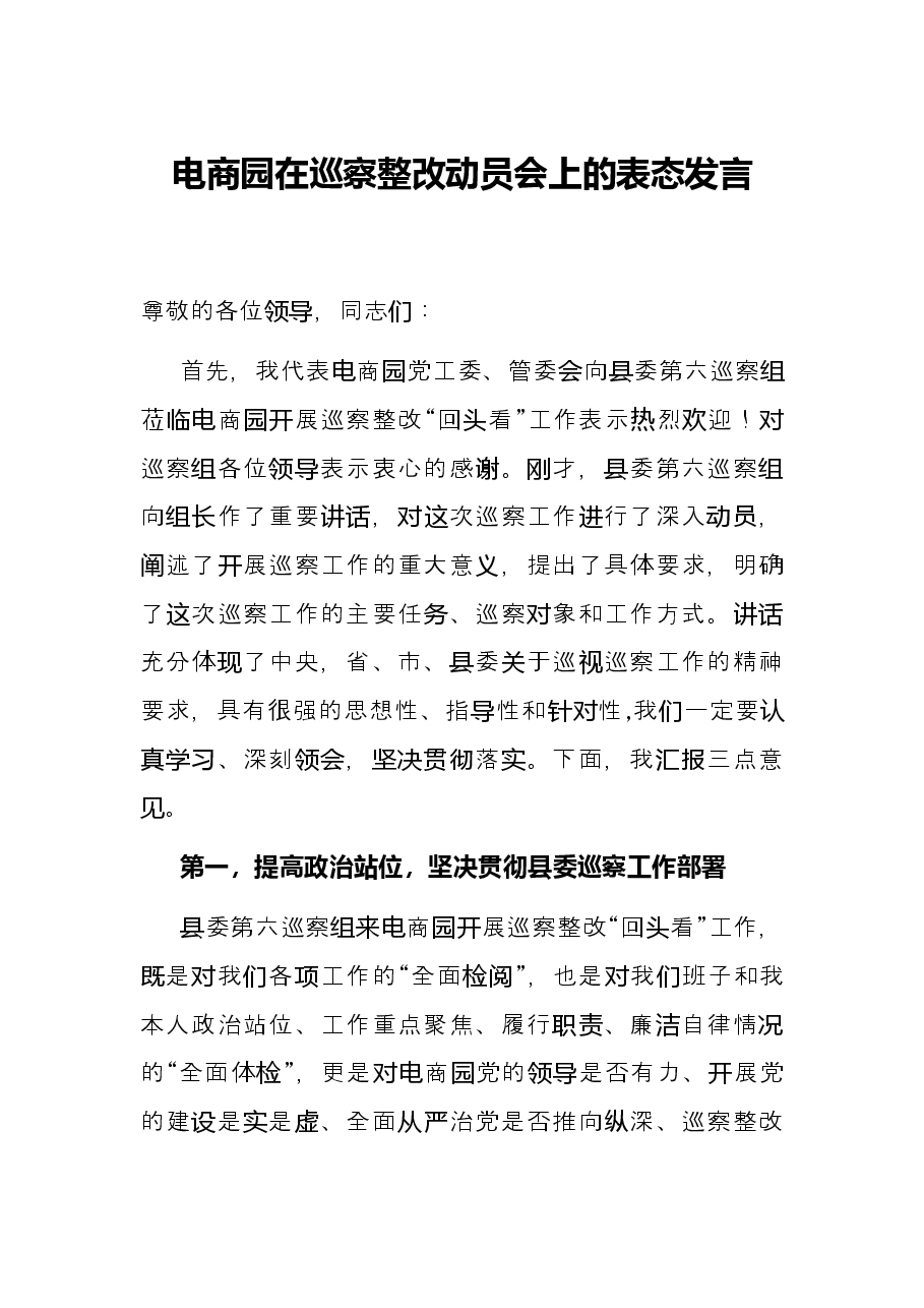 电商园在巡察整改动员会上的表态发言.docx,第1页预览