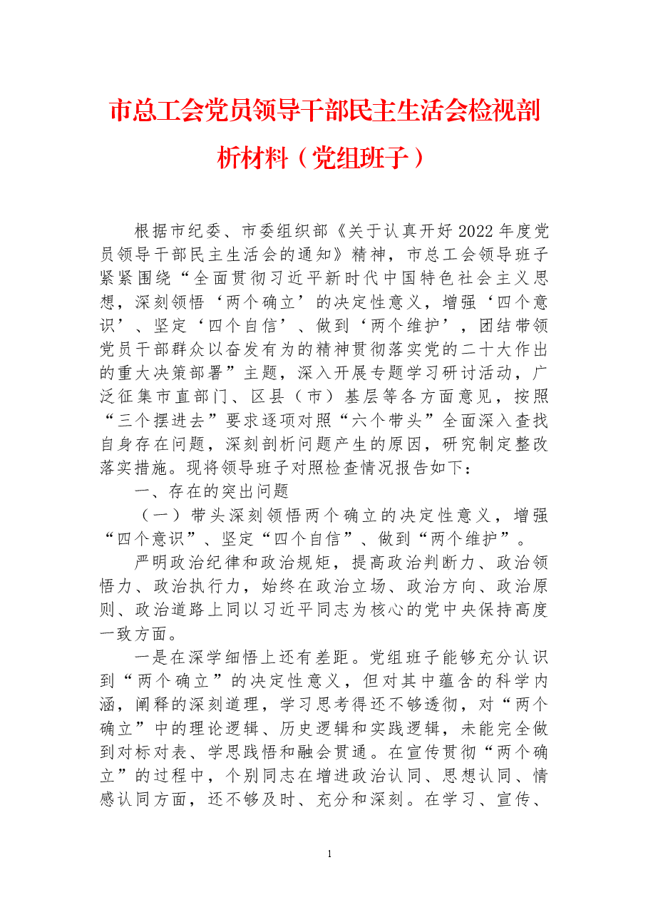 市总工会党员领导干部民主生活会检视剖析材料(党组班子).docx,第1页预览