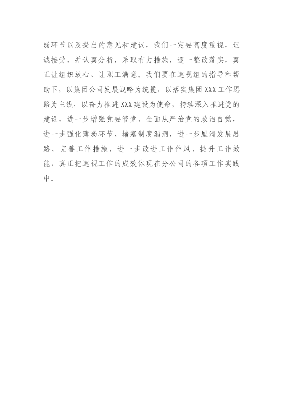 巡视动员会上的表态发言.docx,第4页预览
