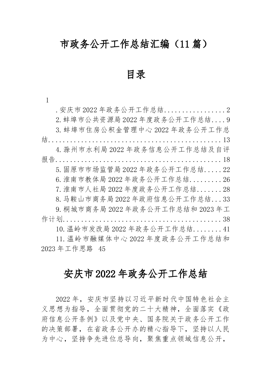 (11篇)2022年市政务公开工作总结汇编.docx,第1页预览