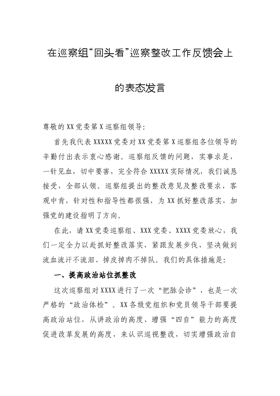 在巡察组“回头看”巡察整改工作反馈会上的表态发言.docx,第1页预览