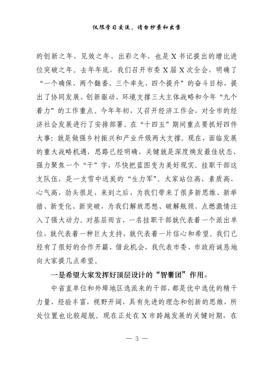 (13篇)市县乡挂职干部会议讲话、工作总结、心得体会等专题材料.pdf,第3页预览