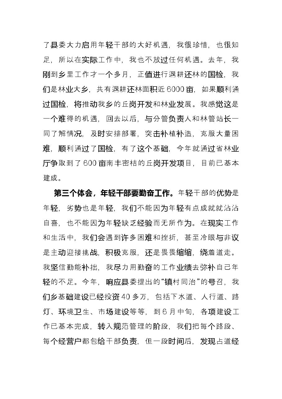 乡镇年轻干部座谈会发言.docx，第4页预览