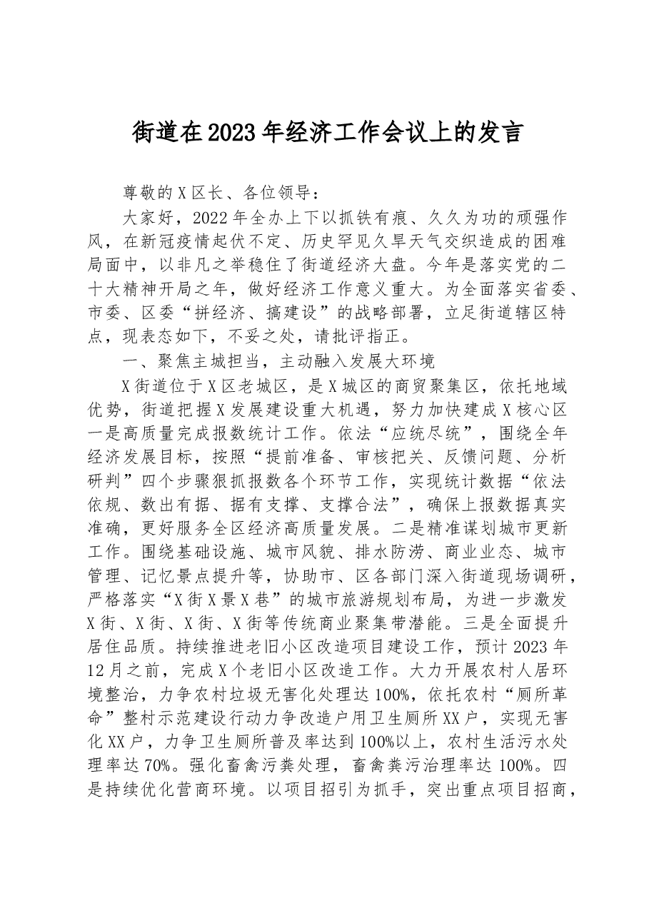街道在2023年经济工作会议上的发言.docx,第1页预览