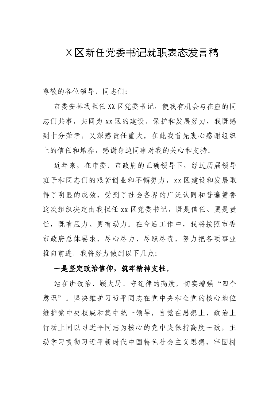X区新任党委书记就职表态发言稿.docx，第1页预览