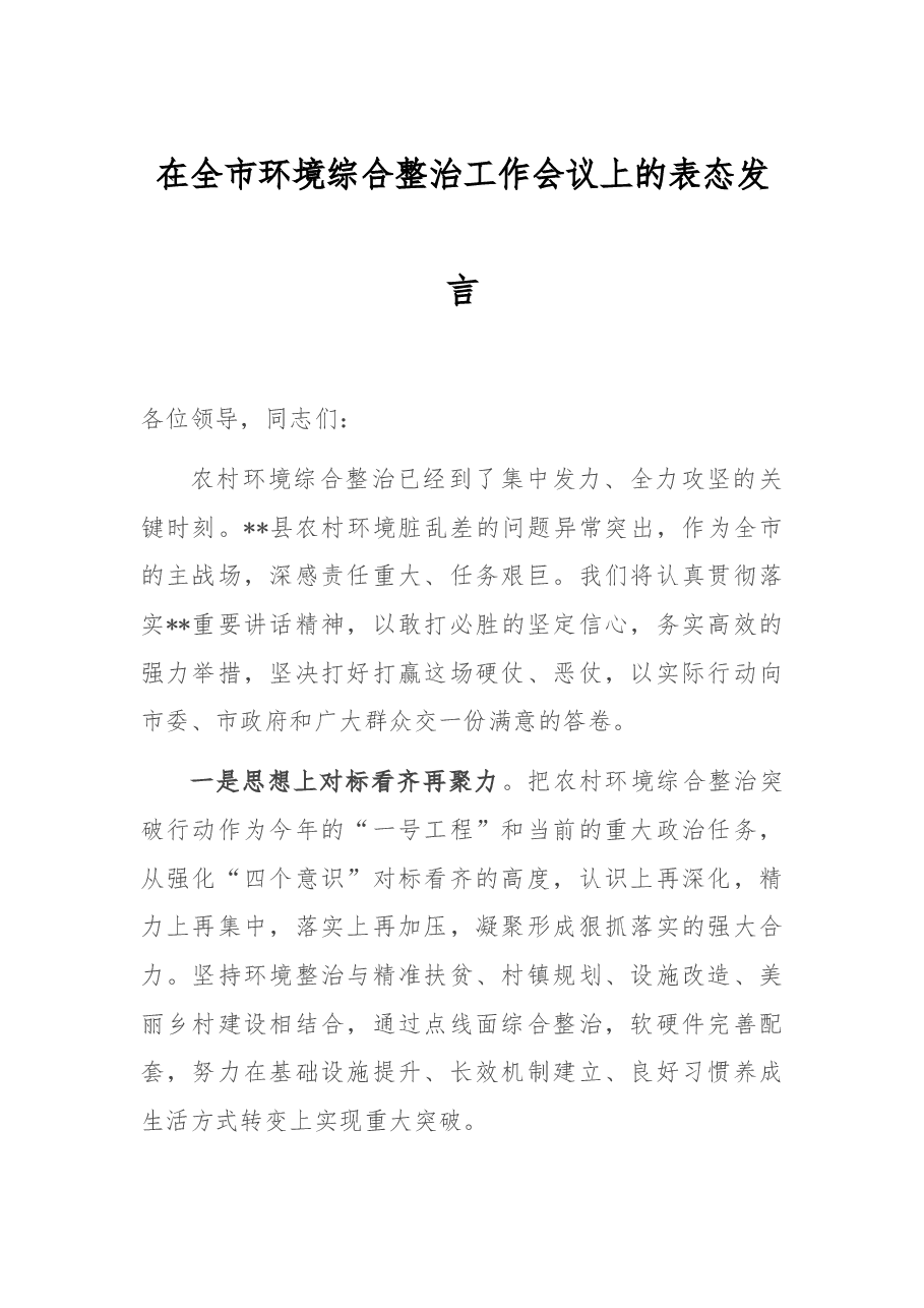 在全市环境综合整治工作会议上的表态发言.docx,第1页预览