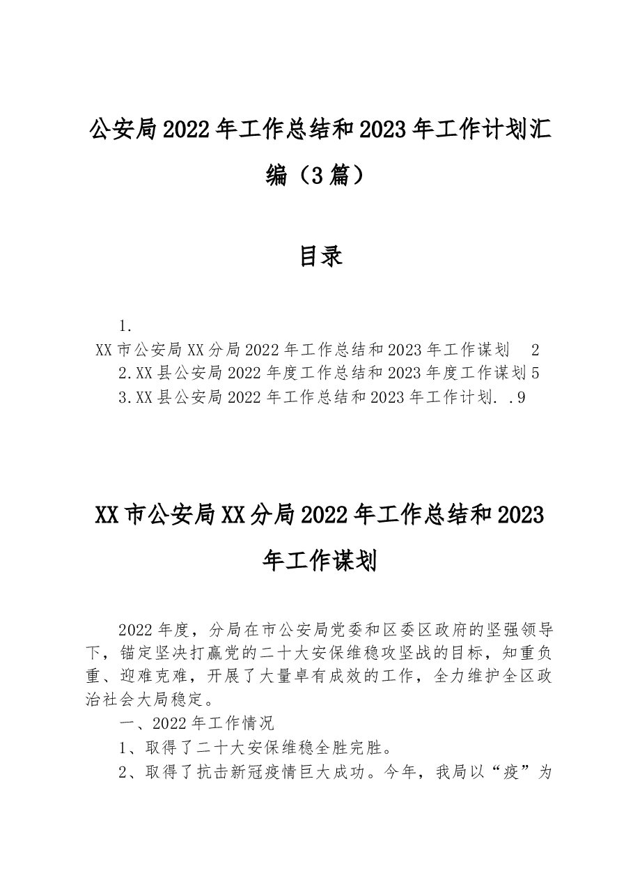 （3篇）公安局2022年工作总结和2023年工作计划汇编.docx，第1页预览
