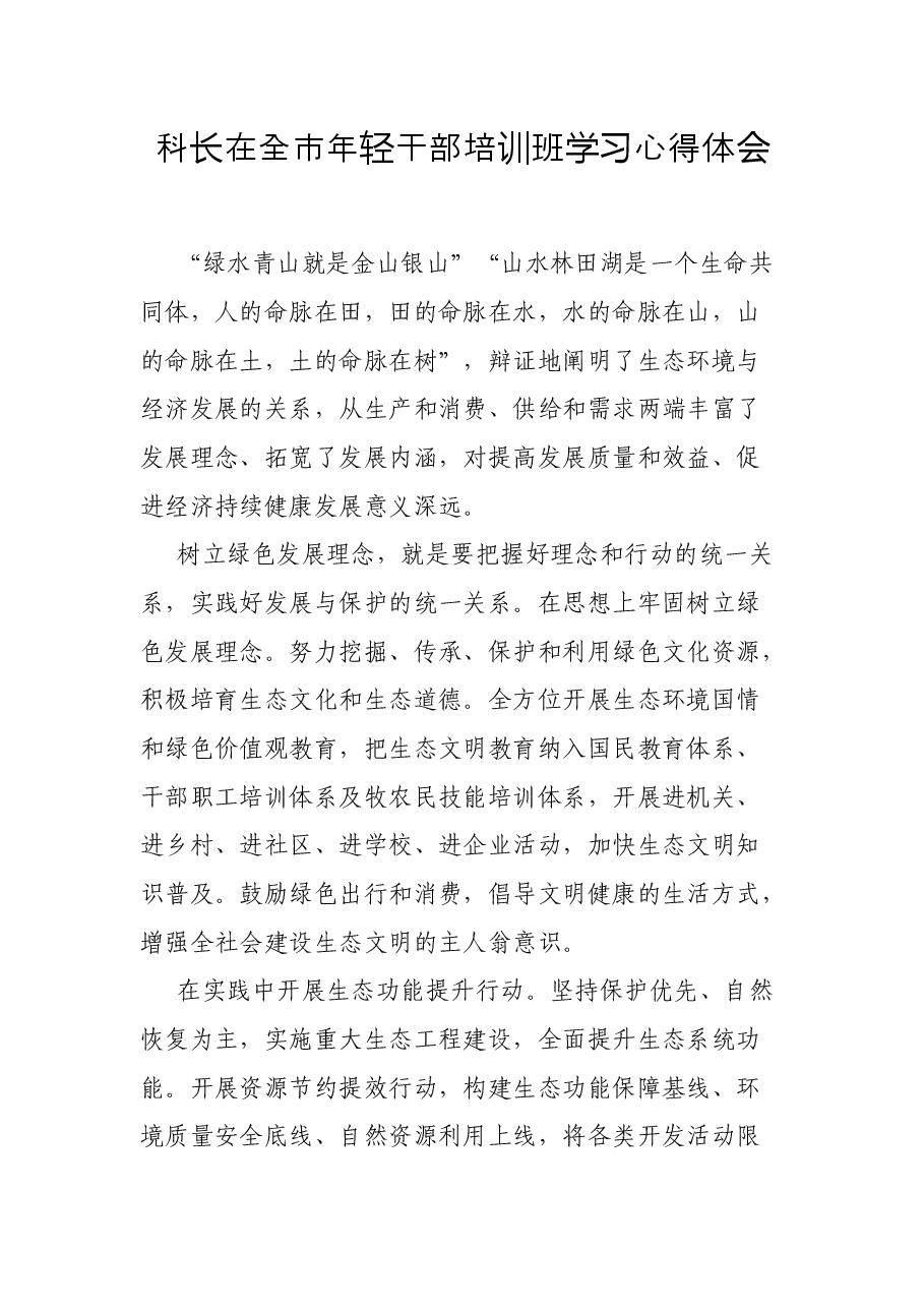 (10篇)青年干部在全市年轻干部培训班学习心得体会汇编.docx,第4页预览