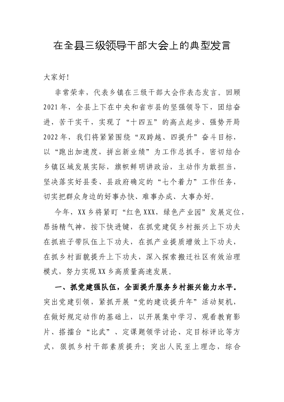在全县三级领导干部大会上的典型发言.docx,第1页预览