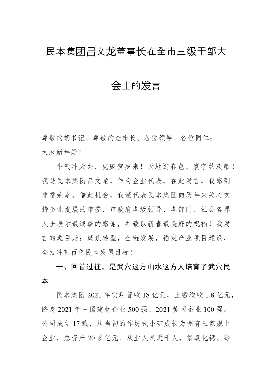 民本集团吕文龙董事长在全市三级干部大会上的发言.docx，第1页预览