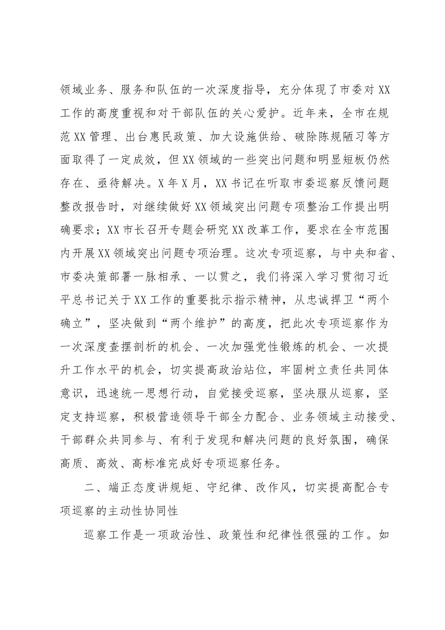 市委专项巡察进驻动员会主持词和表态发言.doc,第3页预览