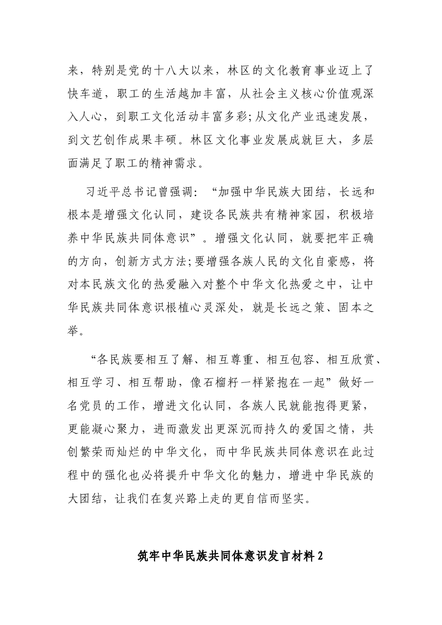 (4篇)筑牢中华民族共同体意识发言材料.docx,第2页预览