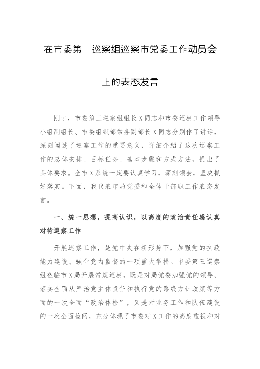 在市委第一巡察组巡察市党委工作动员会上的表态发言.docx,第1页预览