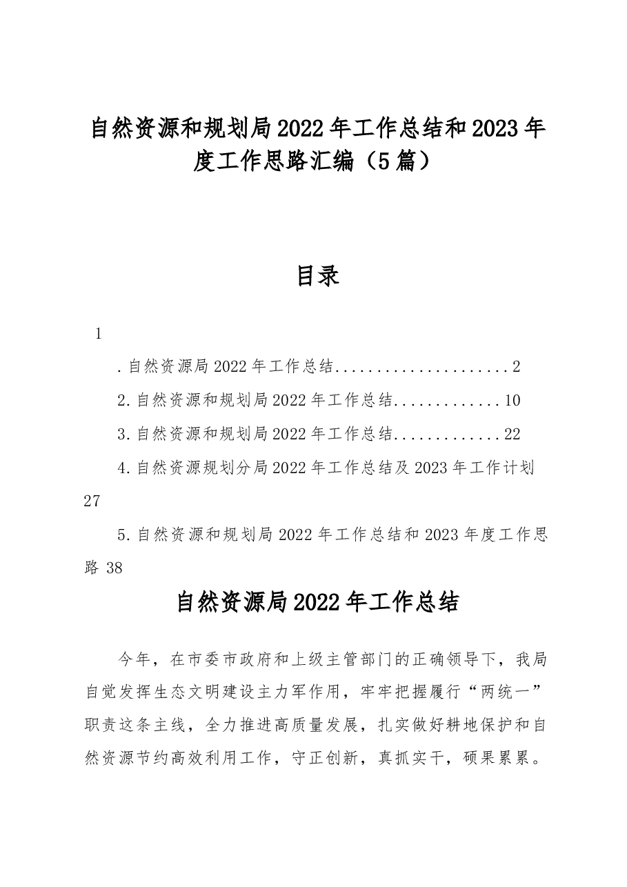 (5篇)自然资源和规划局2022年工作总结和2023年度工作思路汇编.docx,第1页预览
