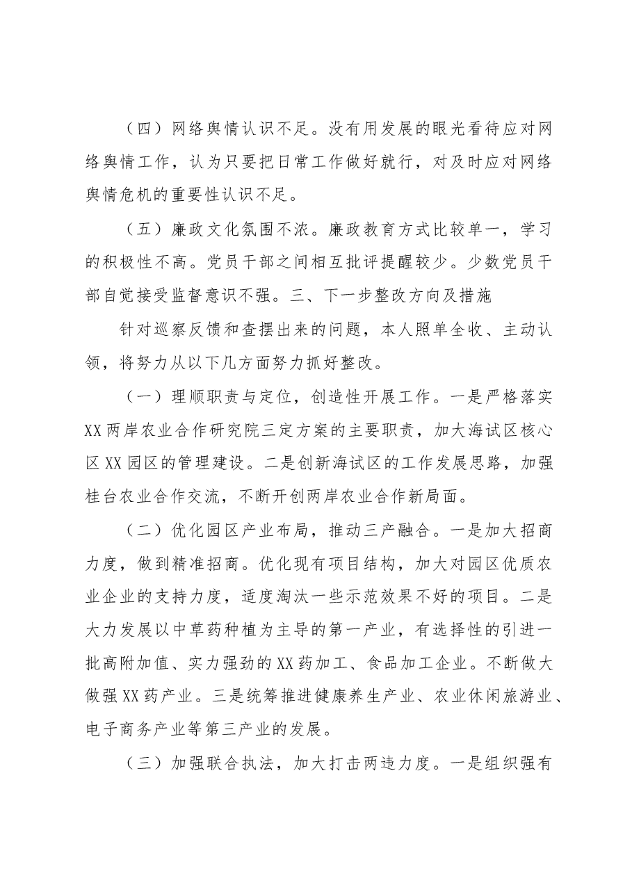 园区负责人落实市委巡察组反馈意见整改专题民主生活会发言提纲.docx，第3页预览
