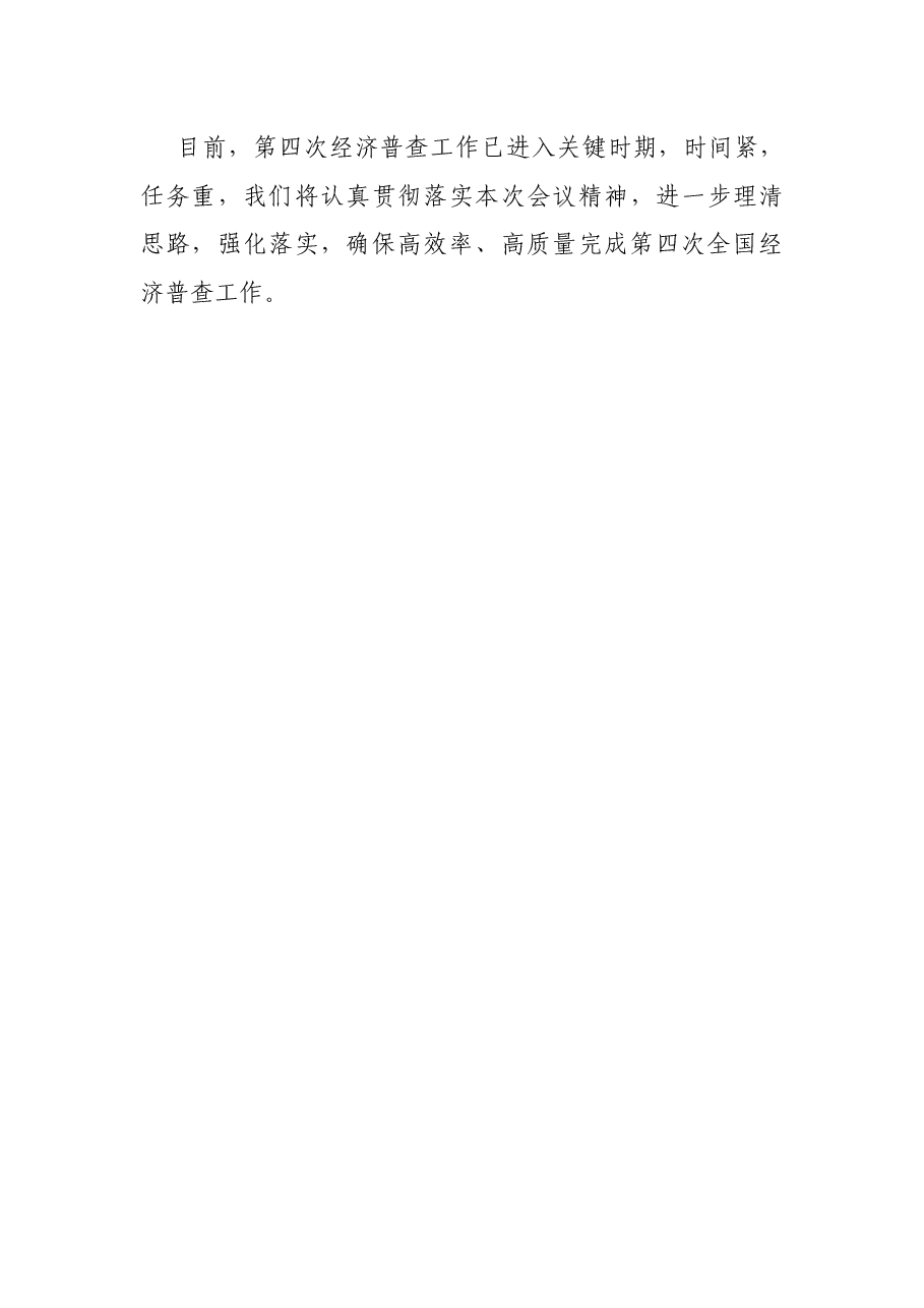 区政府经济普查工作表态发言.docx,第4页预览