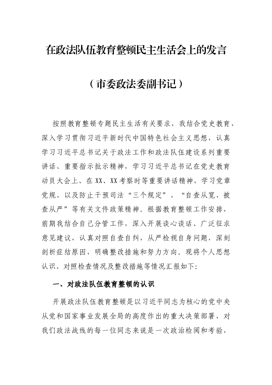 在政法队伍教育整顿民主生活会上的发言（市委政法委副书记）.docx，第1页预览