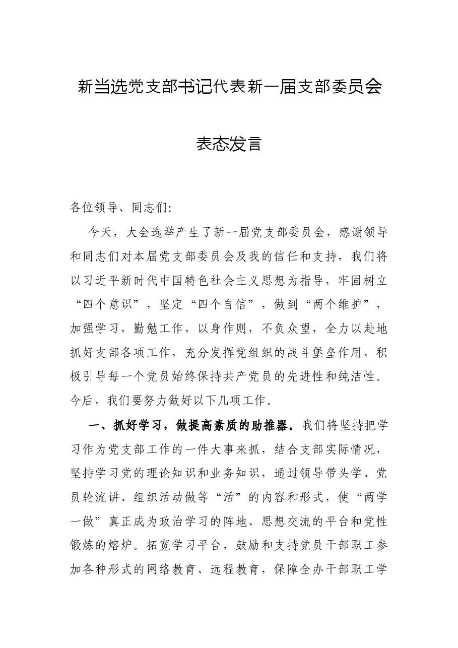 新当选党支部书记代表新一届支部委员会表态发言.docx,第1页预览