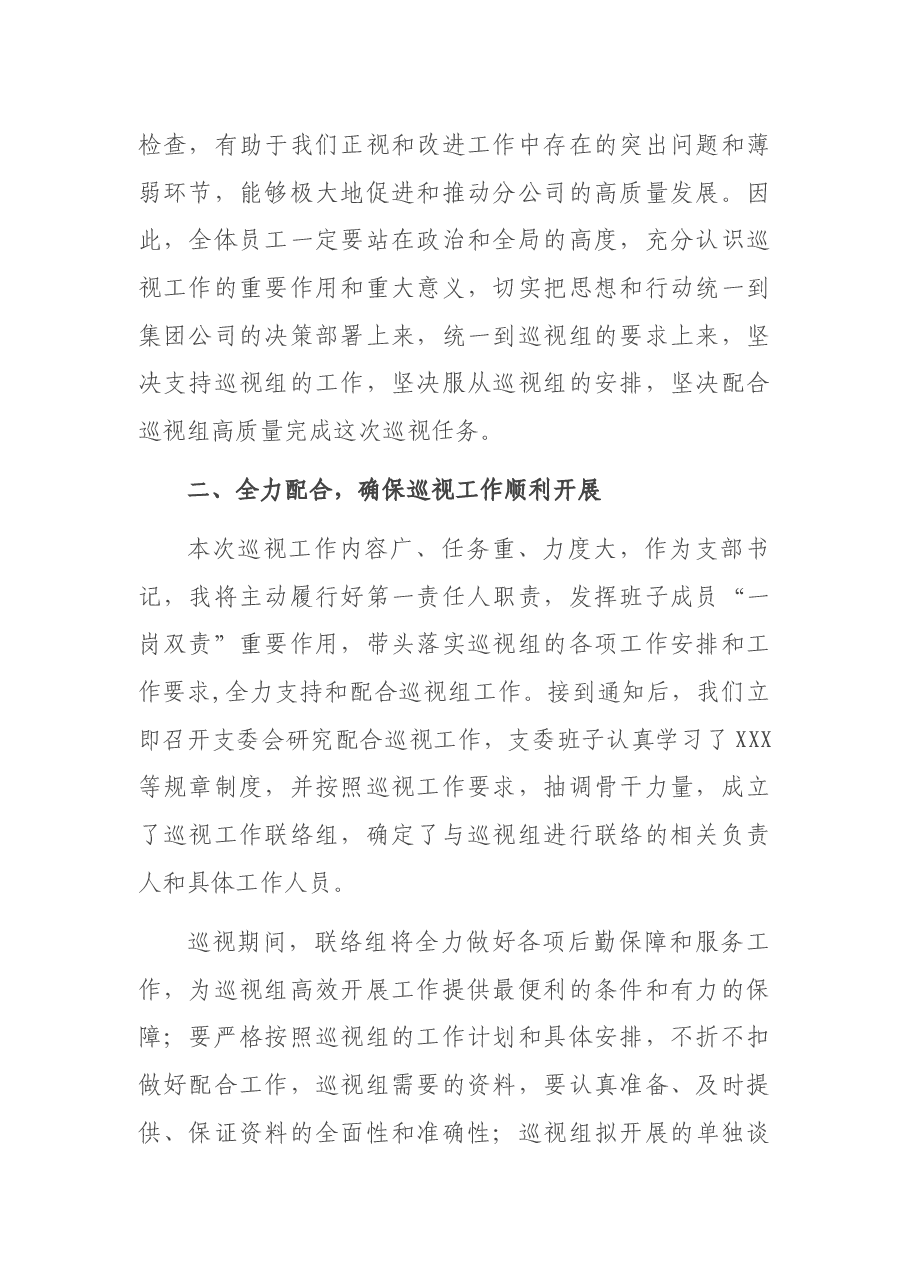 巡视动员会上的表态发言.docx,第2页预览
