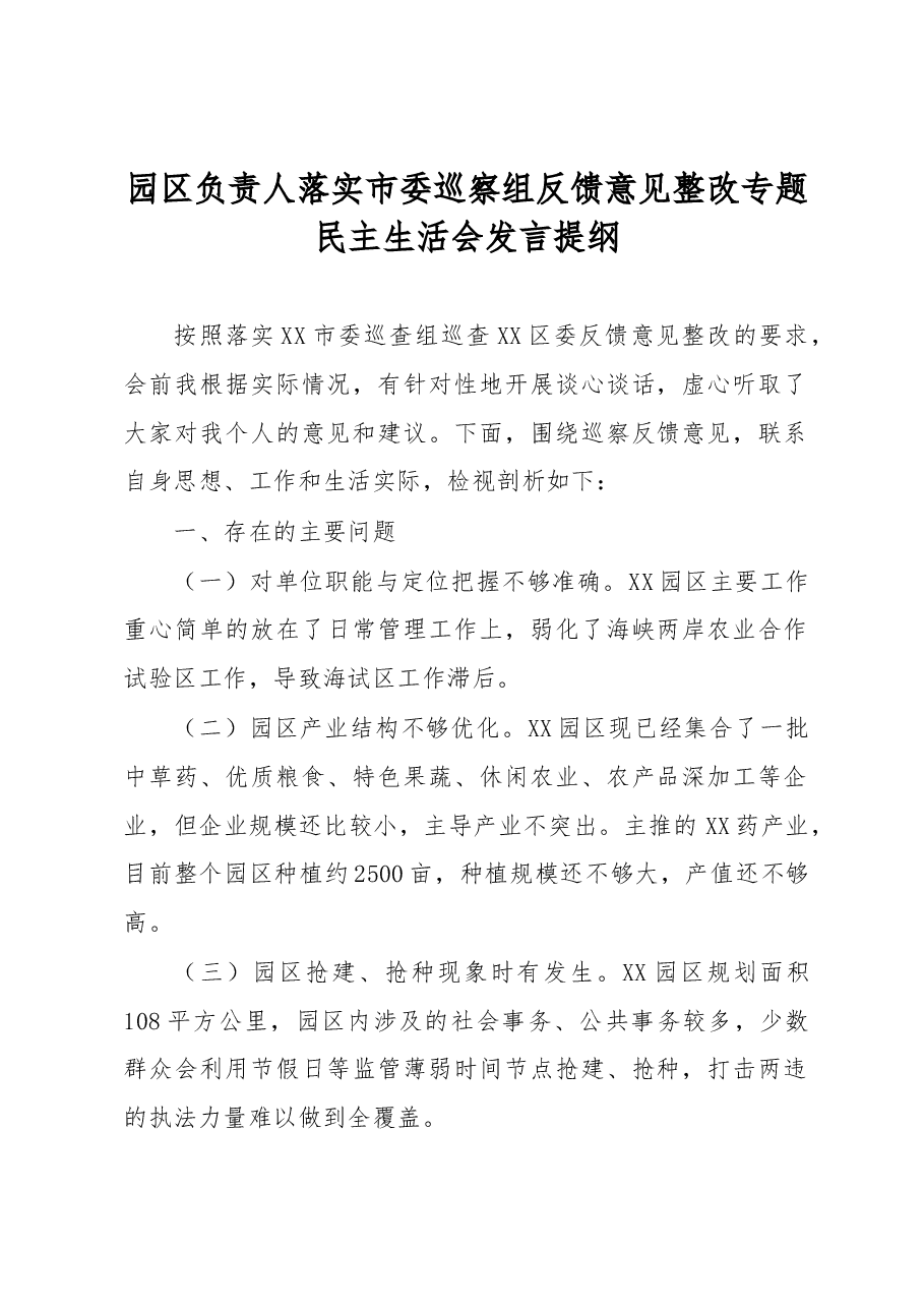 园区负责人落实市委巡察组反馈意见整改专题民主生活会发言提纲.docx，第1页预览