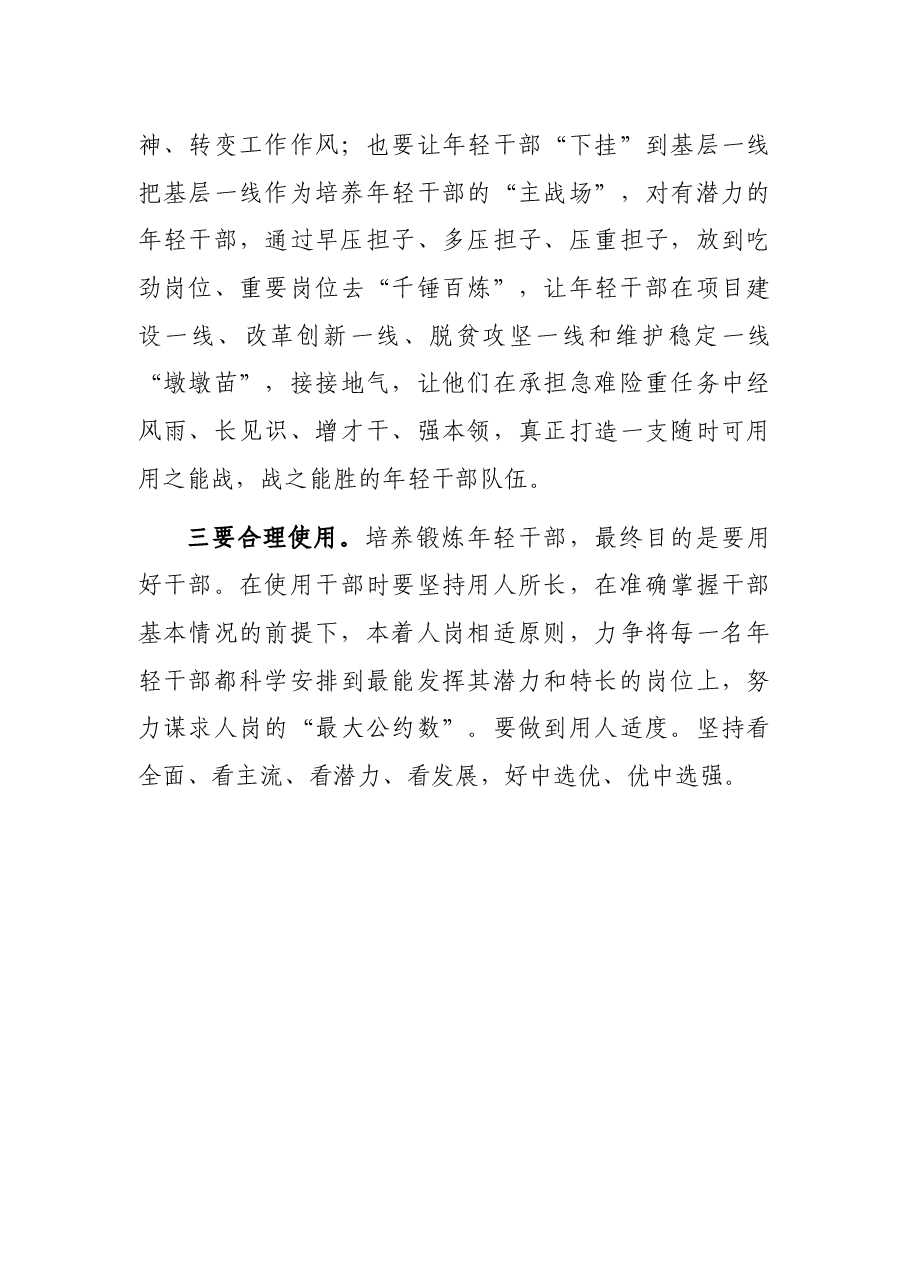 研讨发言:加大年轻干部培养力度 深入推进干部队伍建设.docx,第3页预览