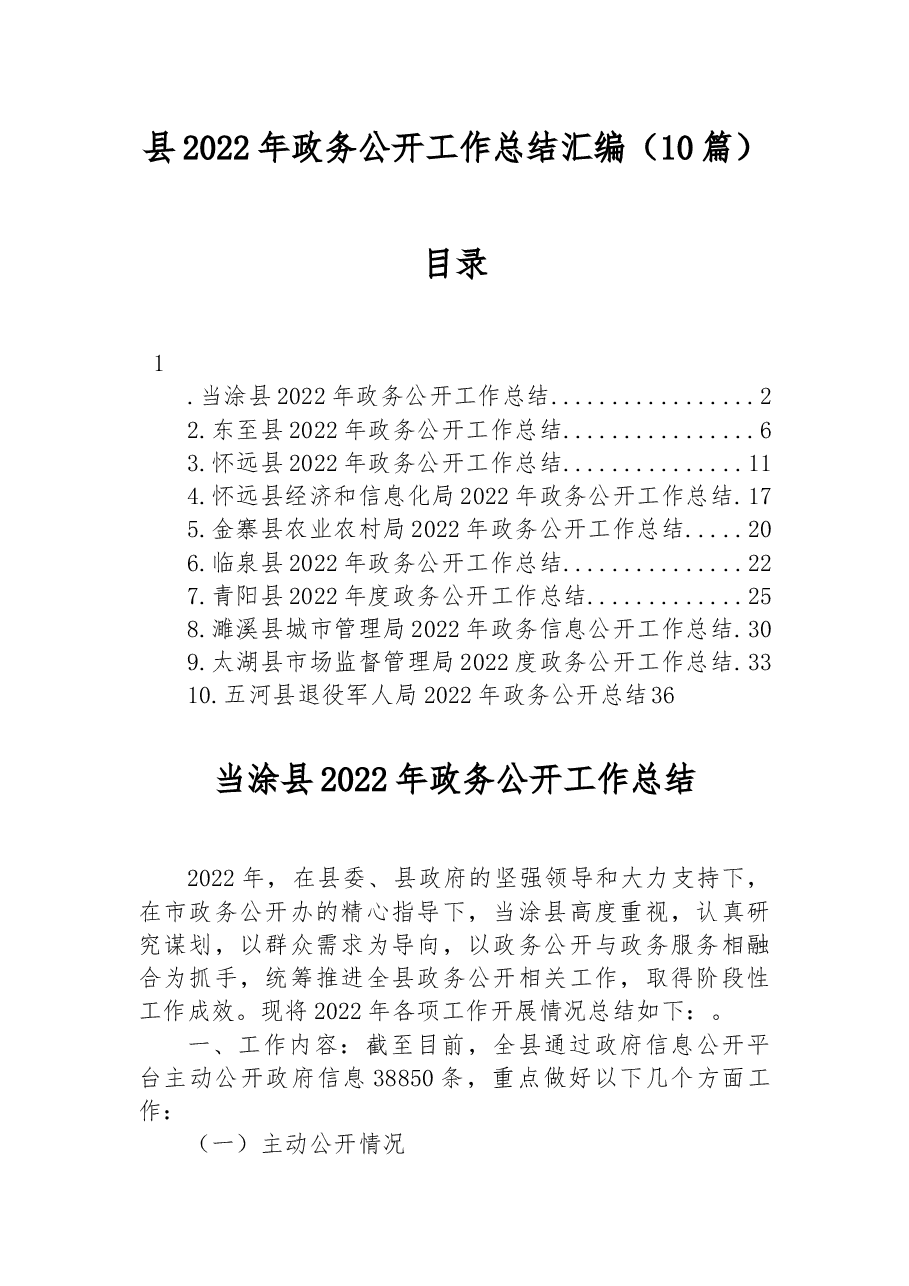(10篇)县2022年政务公开工作总结汇编.docx,第1页预览