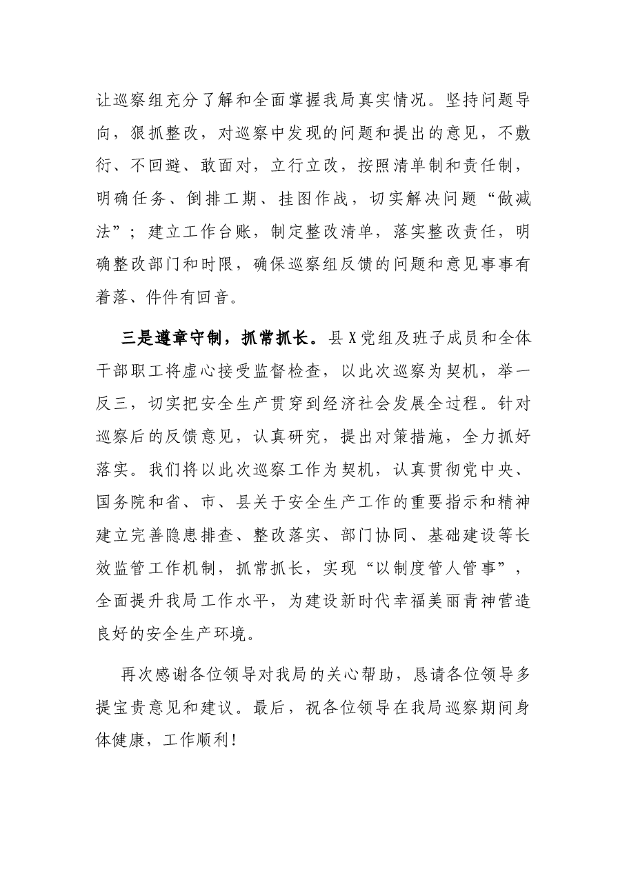 在县委巡察组工作动员会上的表态发言.docx,第3页预览