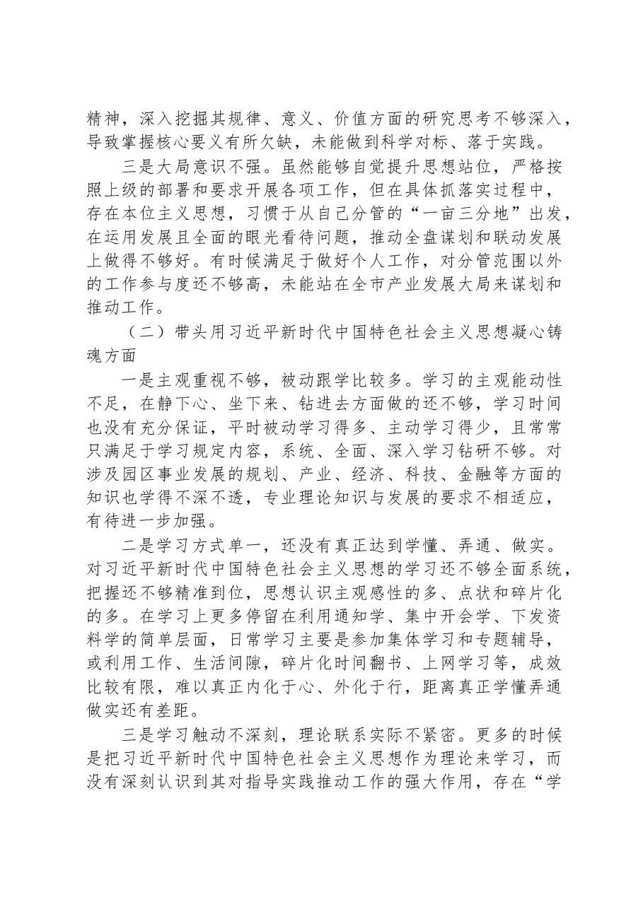 副书记2022年度党员领导干部民主生活会对照检查发言材料.docx,第2页预览